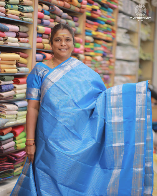 SKY BLUE - KANCHIPURAM TRADITIONAL SILK SAREE