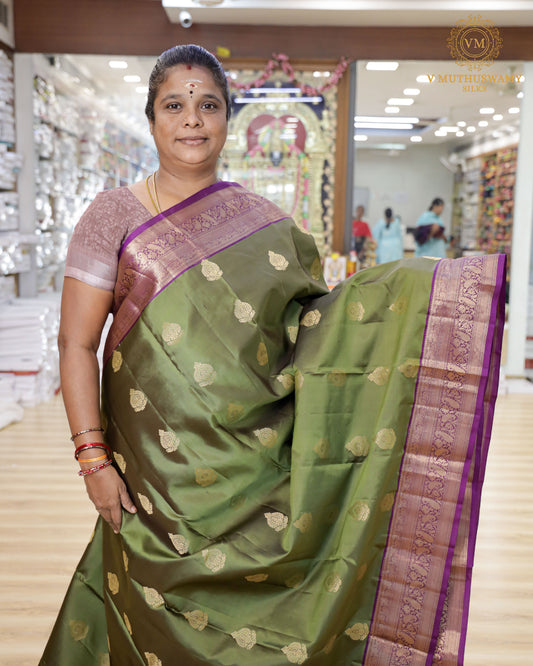 Light Green with Purple Soft Silk with Kanchi Border