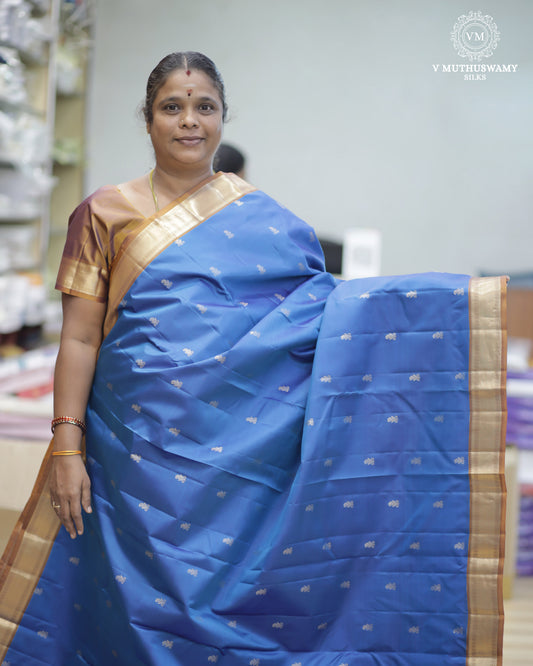 Peacock Blue With Pale Brown Soft Silk With Kanchi Border