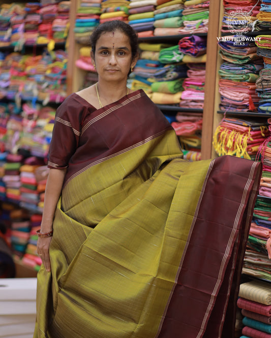 Luxor Gold With Chocolate Brown - Handloom Soft Silk