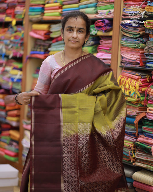 Luxor Gold With Chocolate Brown - Handloom Soft Silk